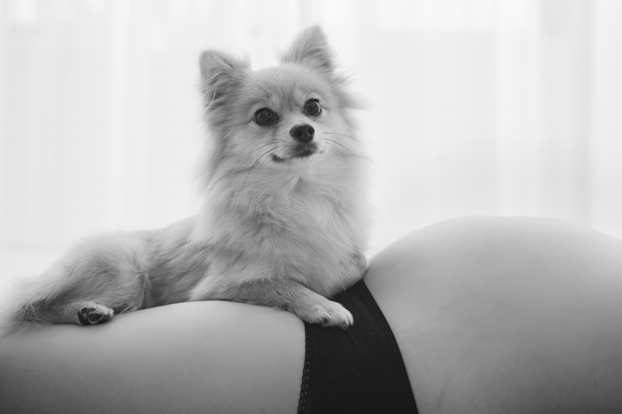 孕婦寫真精選 孕婦寫真,孕婦照,蔣樂